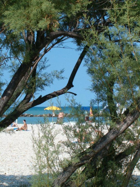 Residence Casabianca Porto San Giorgio Dış mekan fotoğraf