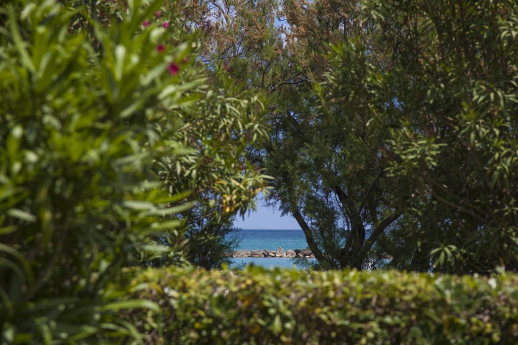 Residence Casabianca Porto San Giorgio Dış mekan fotoğraf